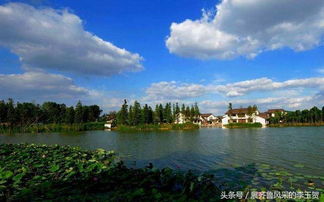 中國千強鎮前十強 被江蘇 廣東兩省瓜分殆盡,浙江無一入圍