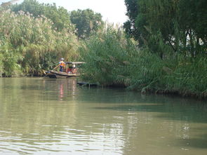 來(lái)常熟沙家浜風(fēng)景區(qū)游玩,住錦江之星常熟招商城店2人1晚今年國(guó)慶中秋連一塊,高速堵車, 驢媽媽點(diǎn)評(píng)