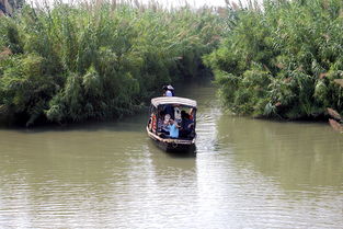 常熟沙家浜旅游節 讓子彈飛