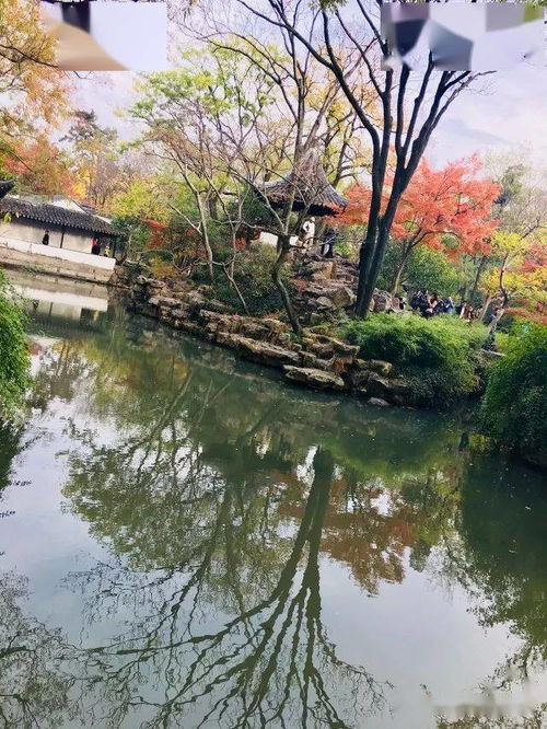 游王牌園林 夜游周莊 邂逅沙家浜