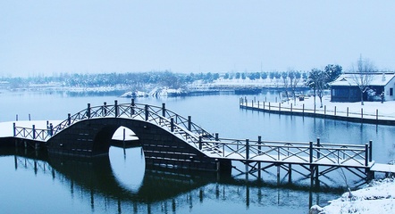 沙家浜旅游度假區——紅色文化與江南水鄉的完美融合