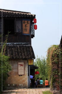 沙家浜游記——常熟水鄉風韻與紅色記憶的完美交融