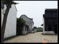 沙家浜 紅色熱土上的江南水鄉傳奇